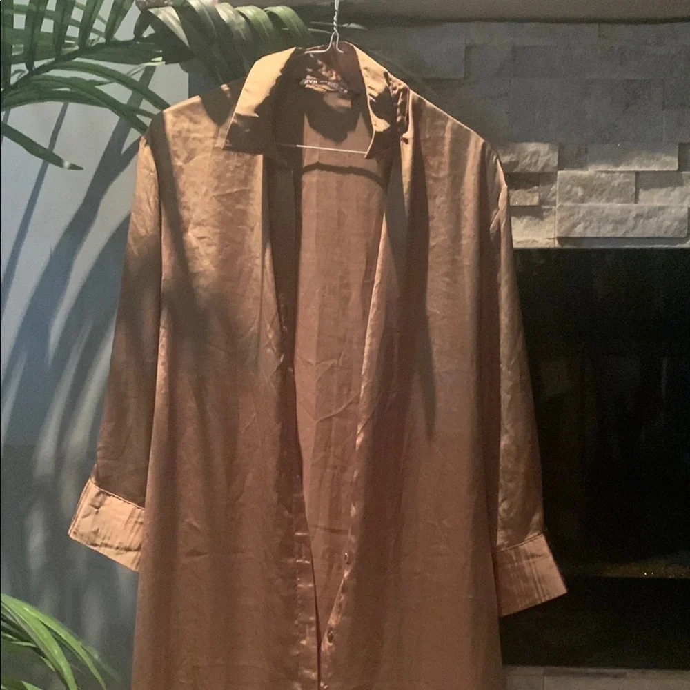 Zara Stylish Tan Dress - Picture 9 of 9